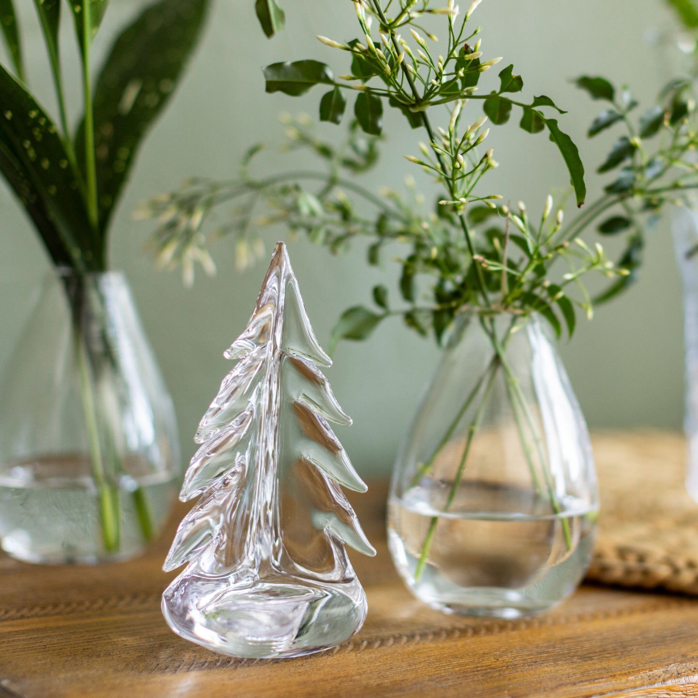 Vermont Evergreen in Gift Box