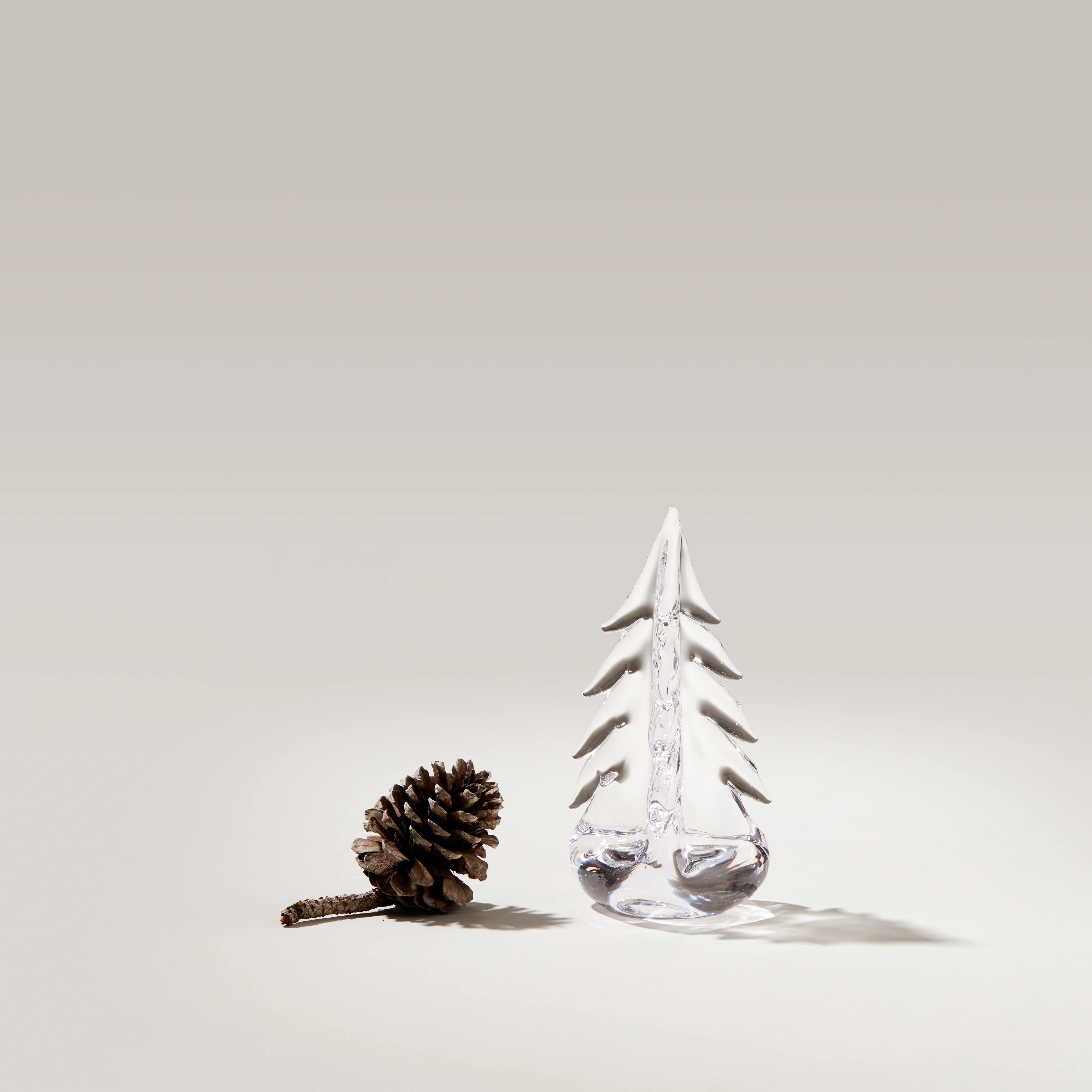 Vermont Evergreen in Gift Box