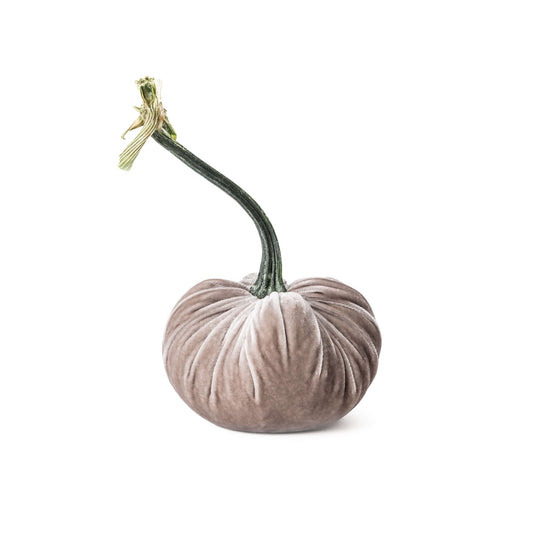 Velvet Pumpkin, Large — Putty