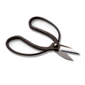 Black garden scissors with curved handles and sharp stainless steel blades, viewed from above at an angle.