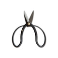 Black pruning scissors with pointed blades, curved handles, and brass pivot bolt against white background.