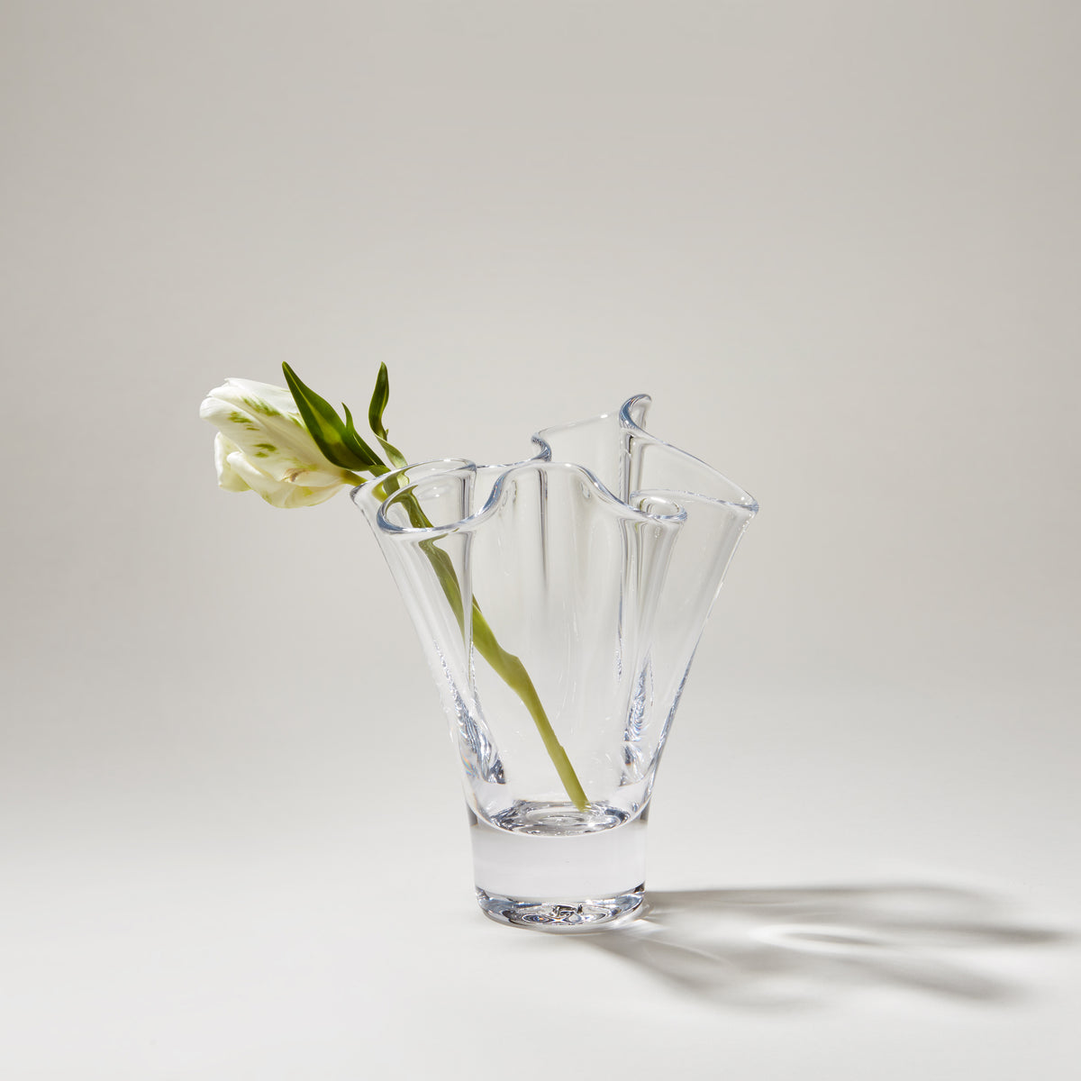 Clear glass vase with wavy rim holding white and yellow flower with green stem.