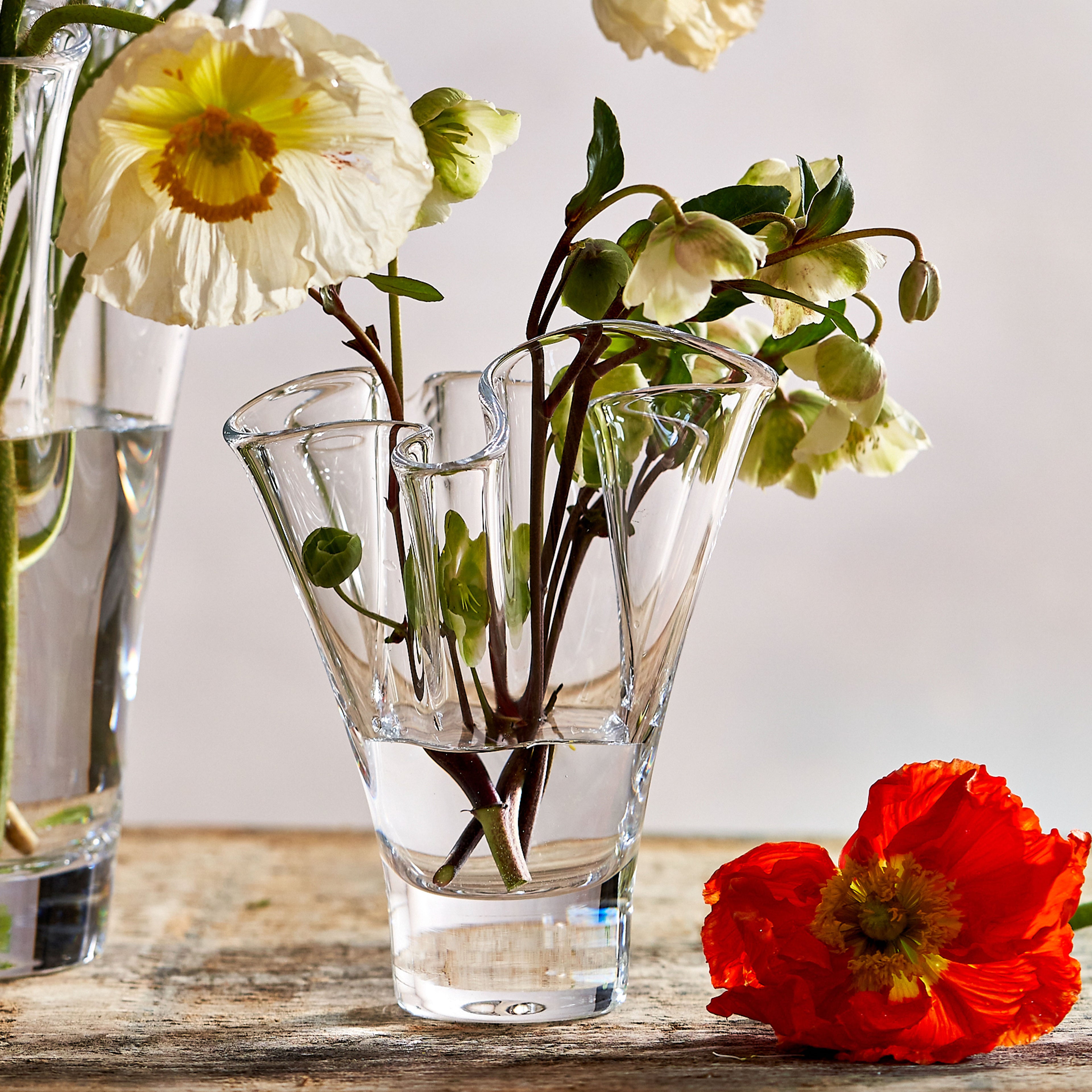 Clear glass vase with white anemone flowers, green buds, and brown stems arranged with water inside.