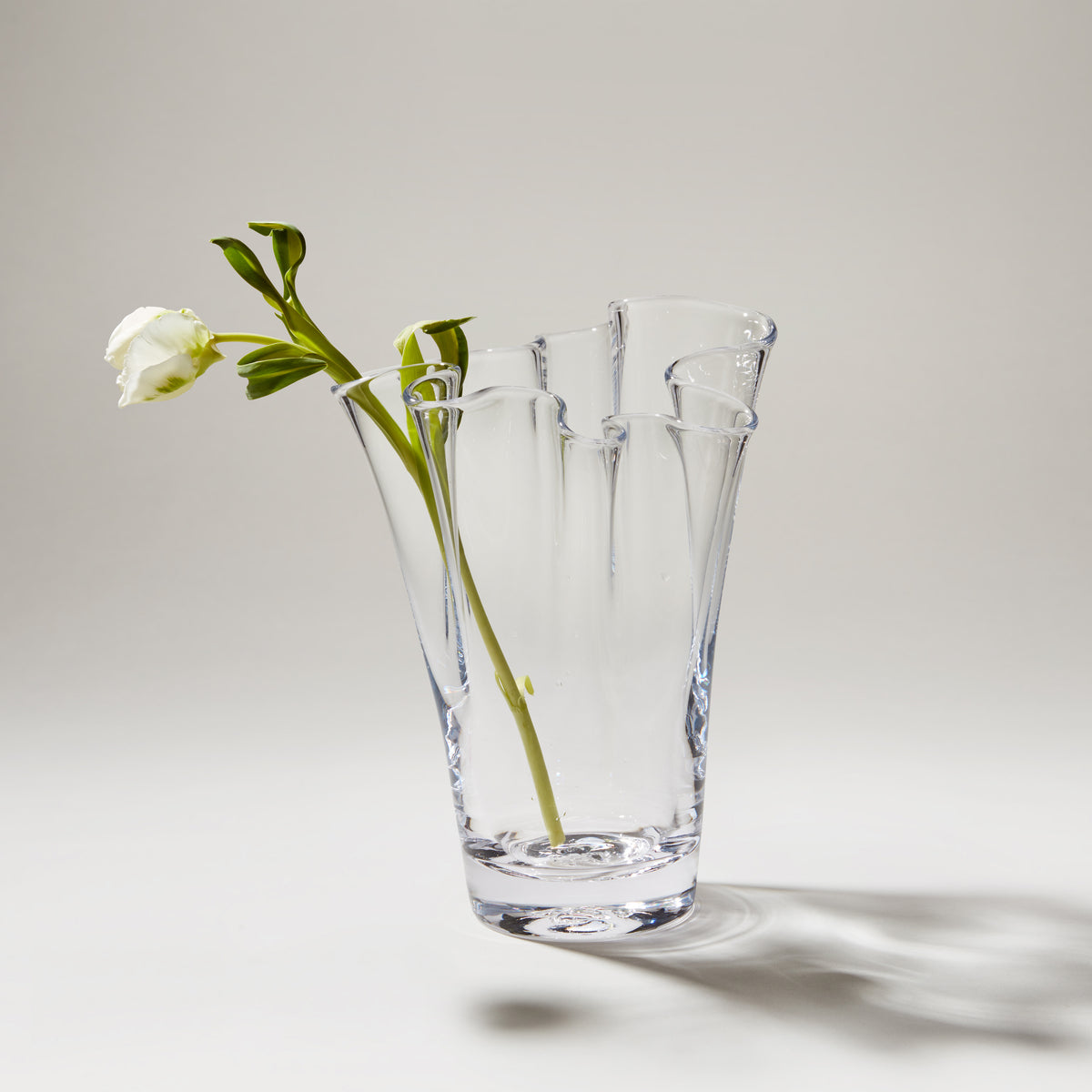 Clear glass vase with ridged sides holding white anemone flower and green stems in water.
