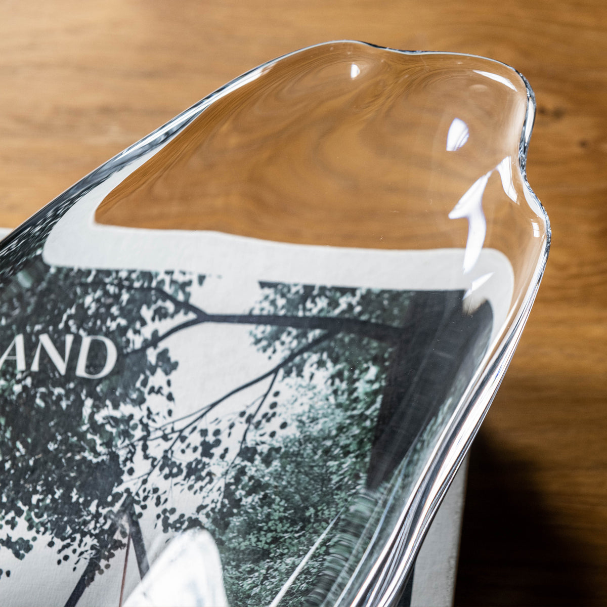 Clear glass bowl with organic wavy edges and tree branch imagery printed on white and dark base.