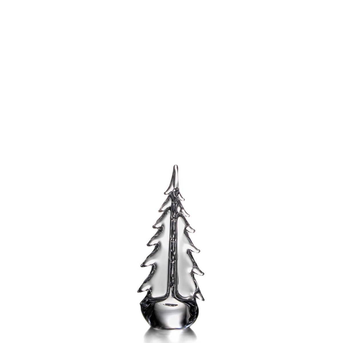 Vermont Evergreen - 14 Inch 2nd