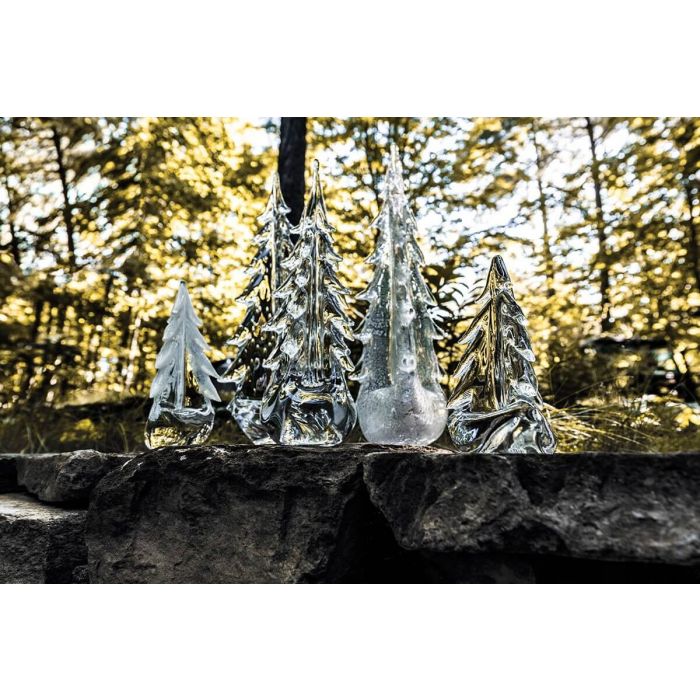 Family of Trees view 4