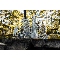 Family of Trees view 4