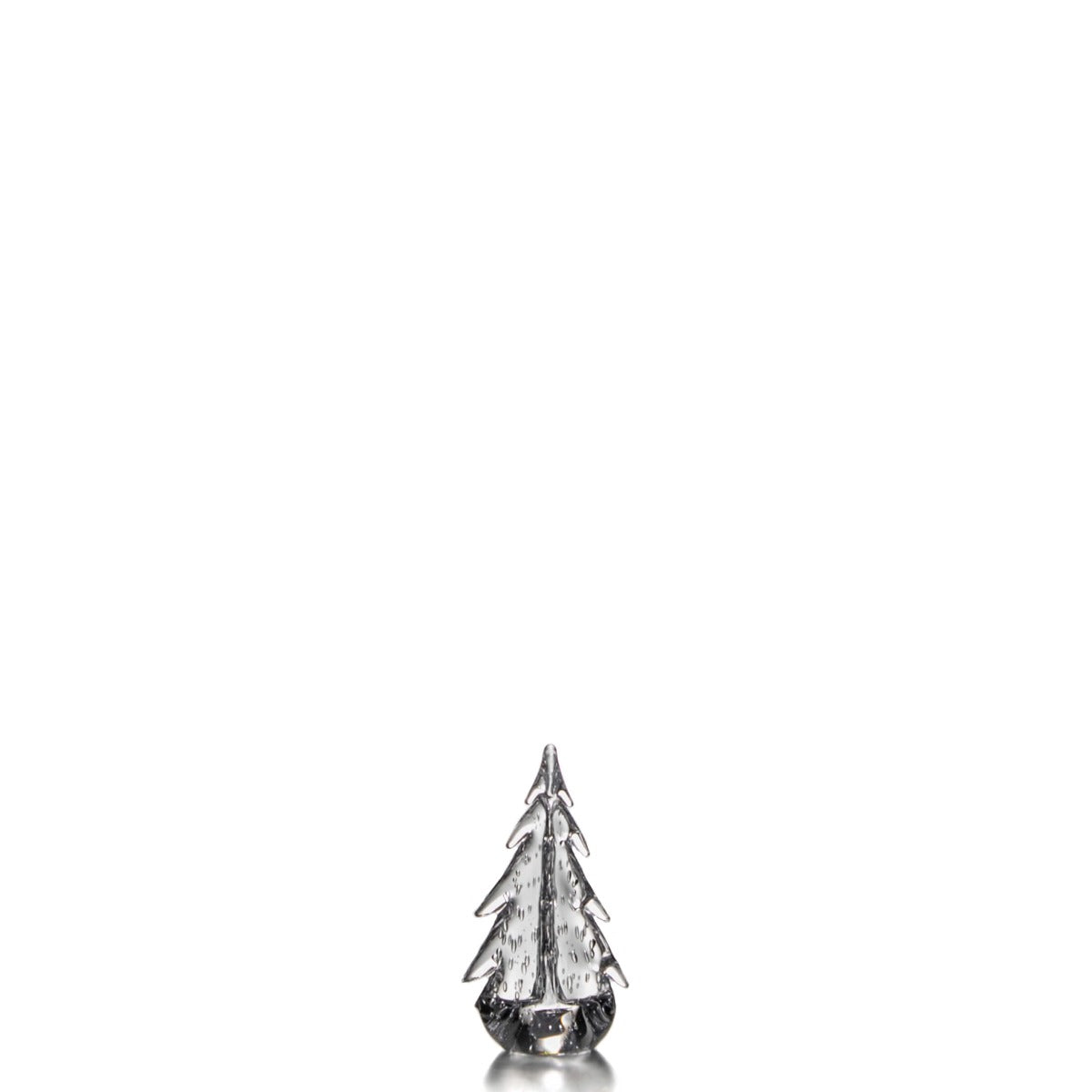 Bubble Evergreen - 8 Inch 2nd