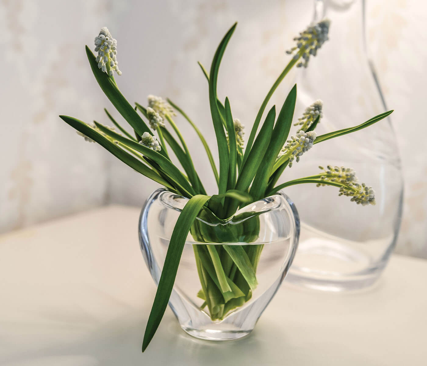 Romance Vase in Gift Box