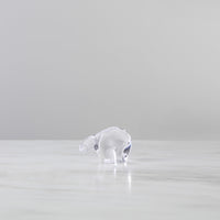 Polar Bear, Small view 2