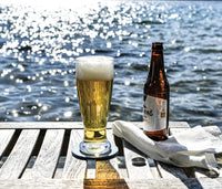 Ascutney Pilsner view 3