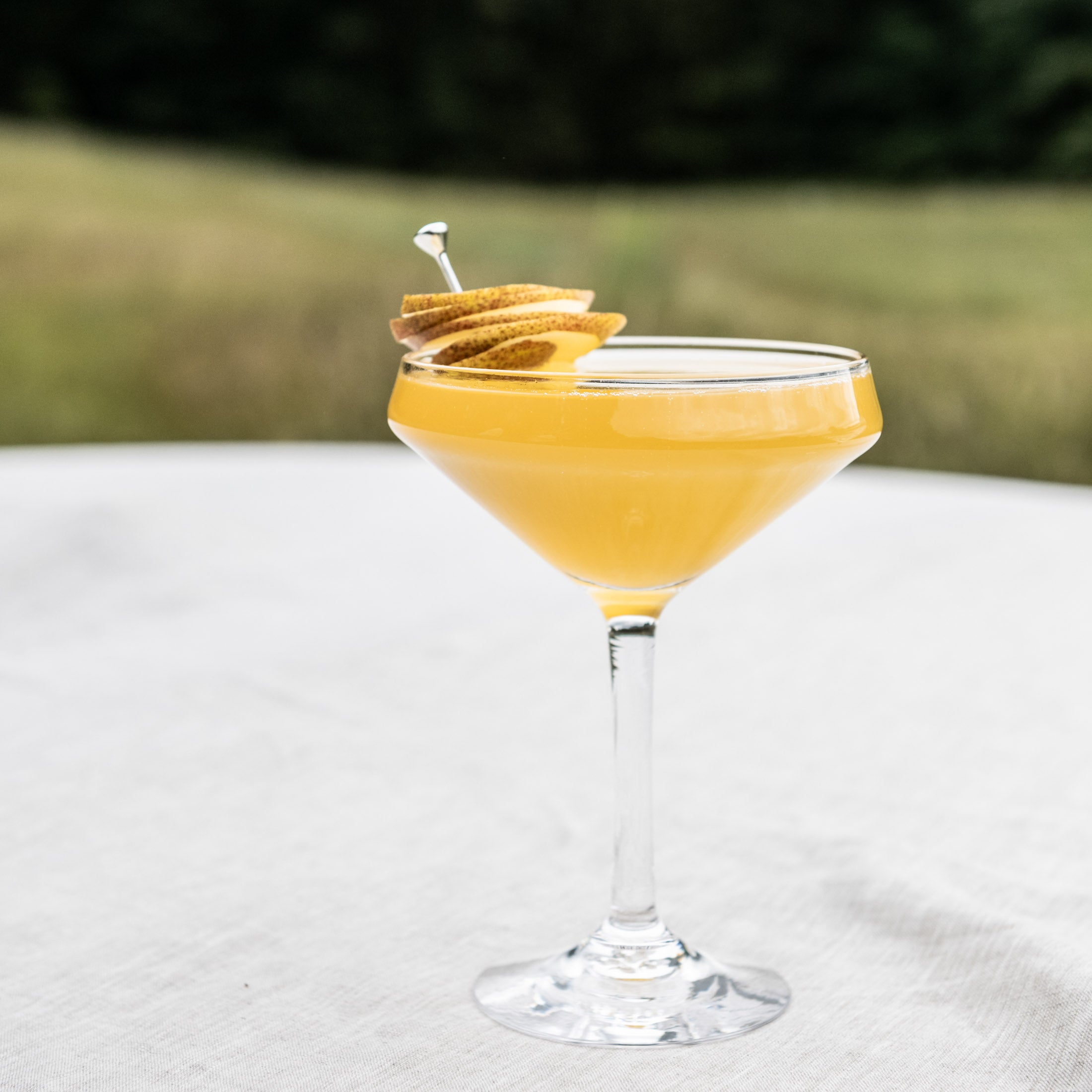 Vintner Coupe - Thumbnail 4