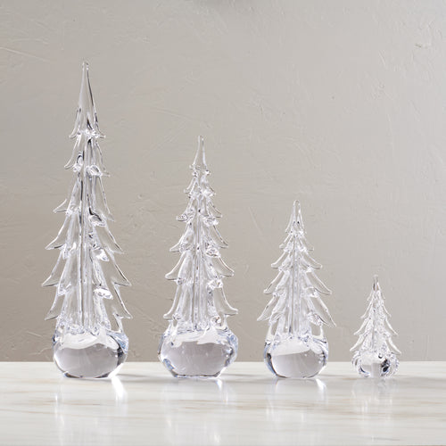 Five Sided Evergreen in Gift Box