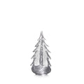 Silver Leaf Evergreen - 10 Inch 2nd