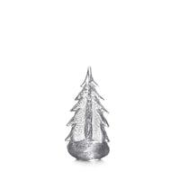 Silver Leaf Evergreen - 10 Inch 2nd view 1