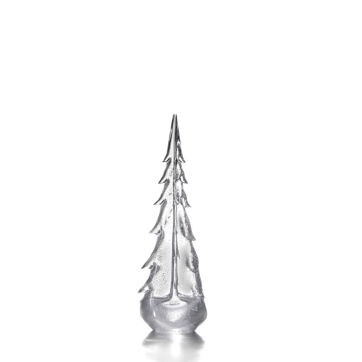 Silver Leaf Evergreen - 18 Inch 2nd