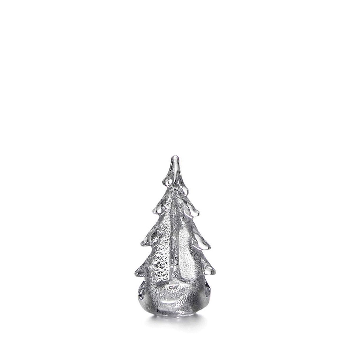 Silver Leaf Evergreen - 6 Inch 2nd