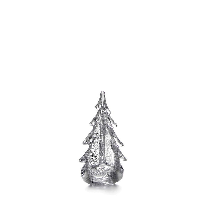 Silver Leaf Evergreen - 6 Inch 2nd view 1
