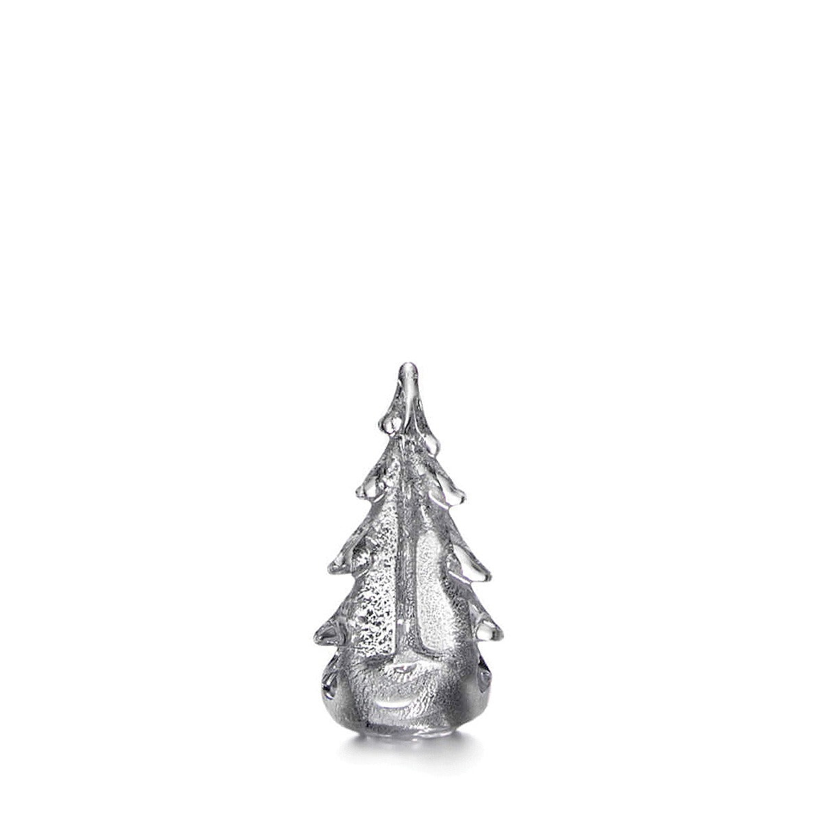 Silver Leaf Evergreen