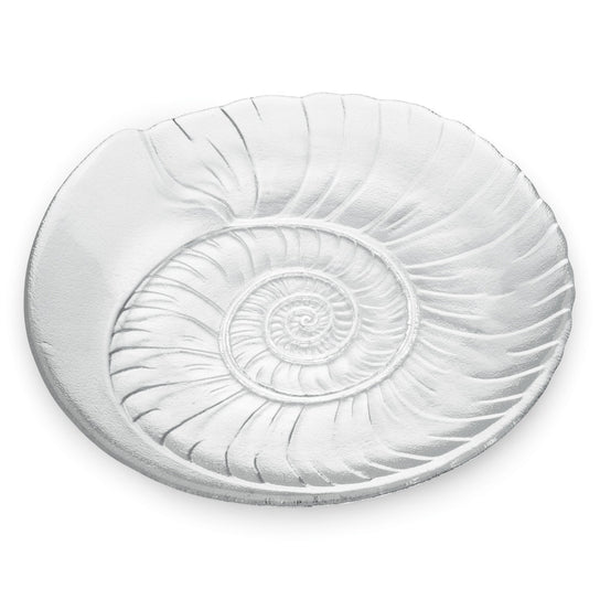 Shell Platter | 2nd