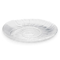 Shell Platter - 2nd view 1