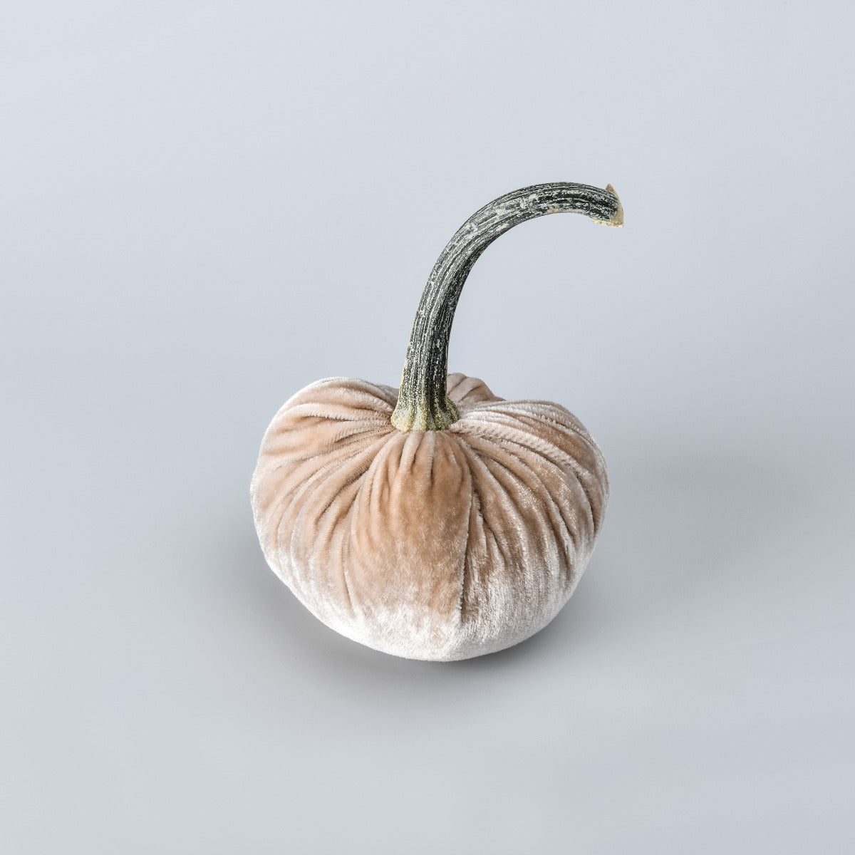 Velvet Pumpkin, Medium — Bone