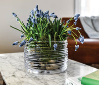 Echo Lake Bowl view 3