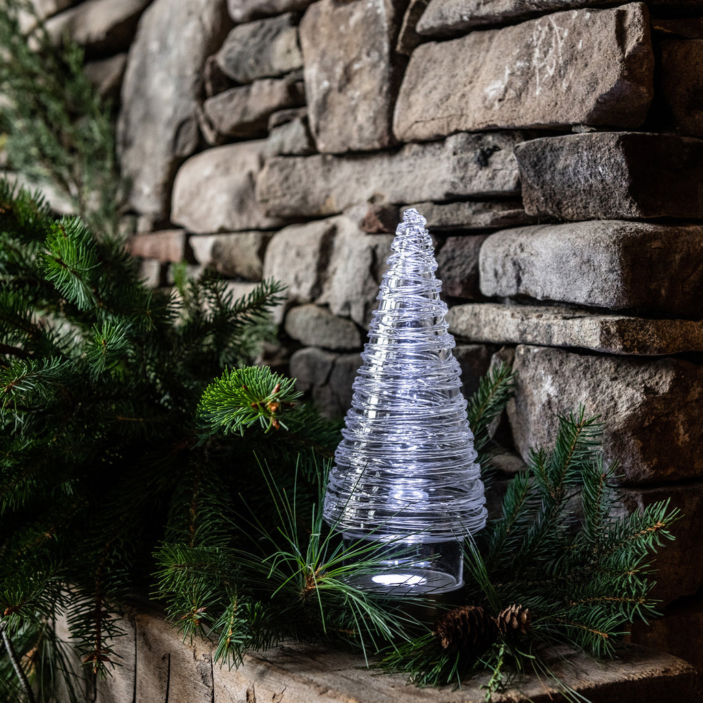 Echo Lake Evergreen view 7