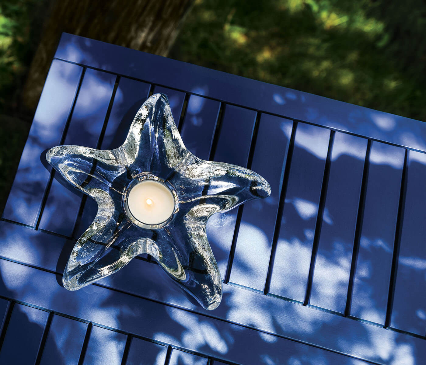 Starfish Tealight in Gift Box