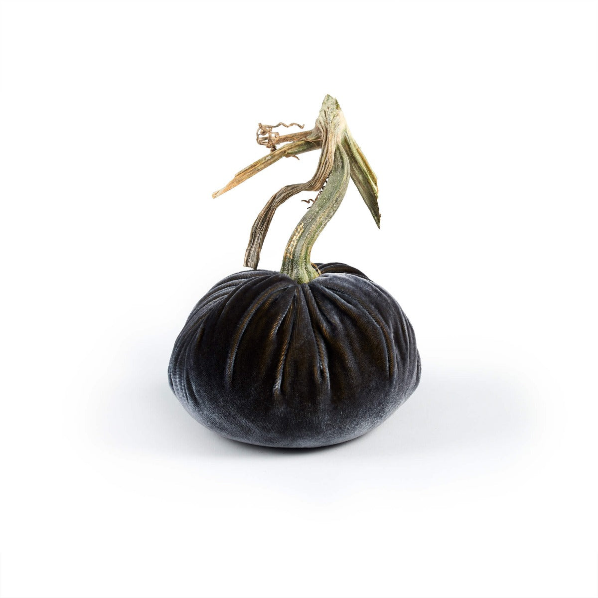 Velvet Pumpkin, Large — Graphite 