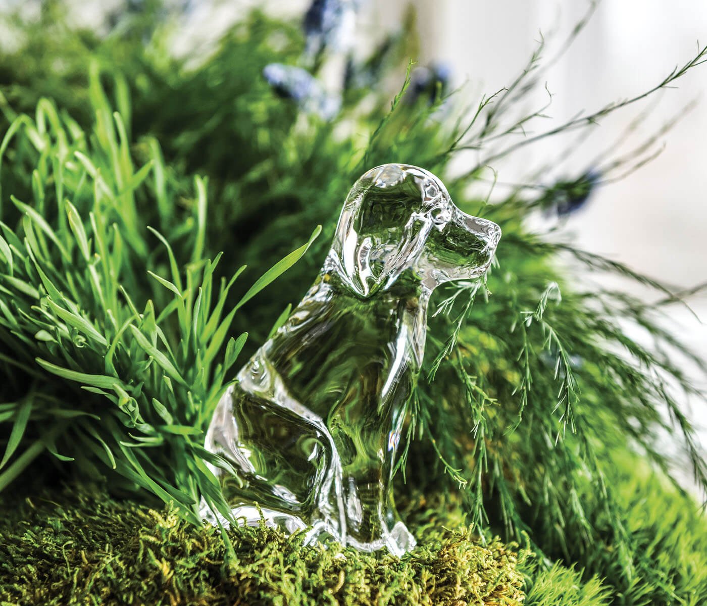 Glass Dog - Thumbnail 5