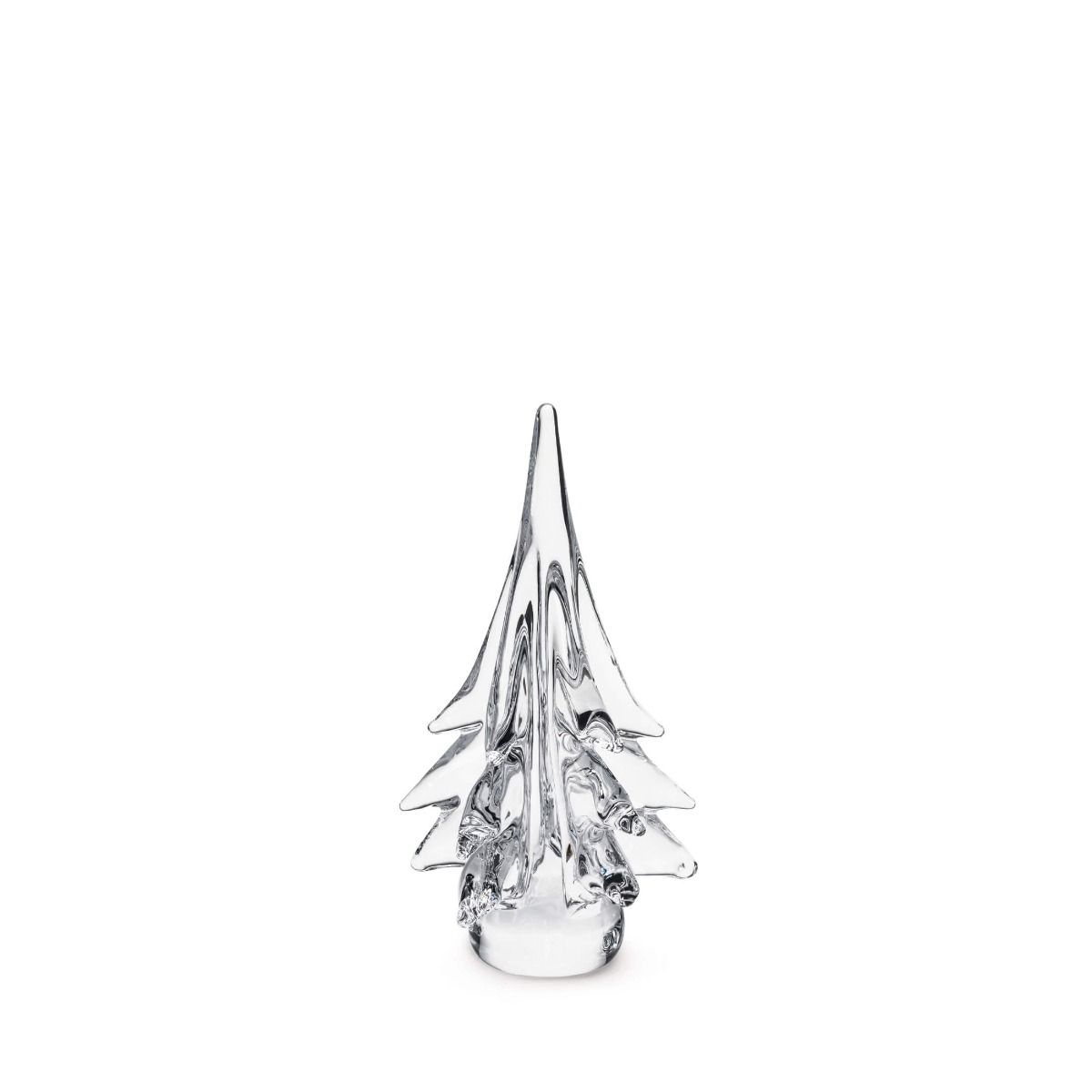 Spruce Evergreen - 10 Inch 2nd