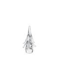 Spruce Evergreen - 6 Inch 2nd
