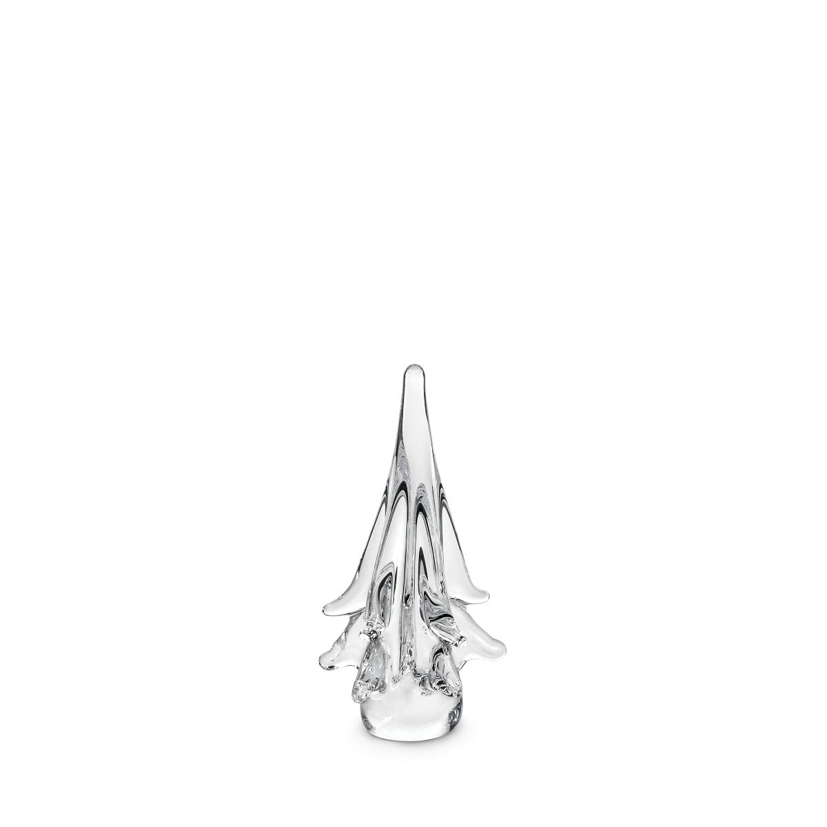 Spruce Evergreen - 6 Inch 2nd