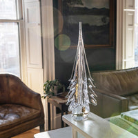 Spruce Evergreen view 8