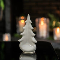 Pottery Evergreen – Dove view 6