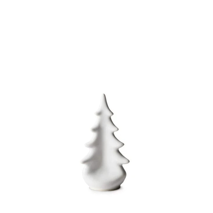 Pottery Evergreen, 6ʺ — Dove | 2nd