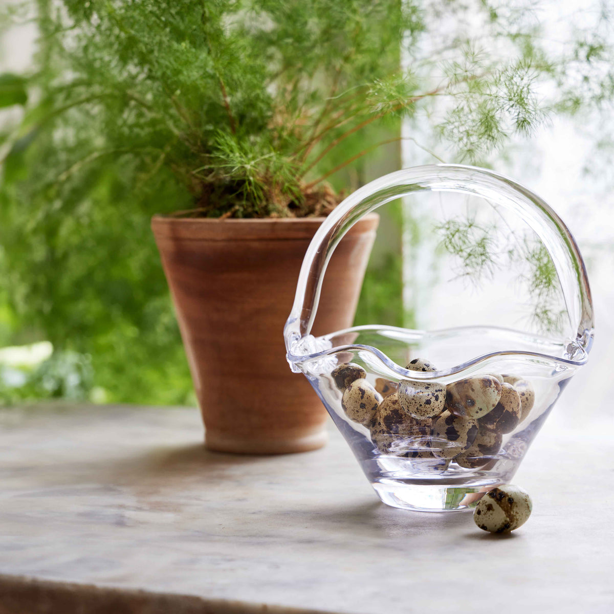 Clear glass basket with handle containing quail eggs, positioned next to terracotta pot with green foliage.
