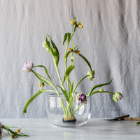 Burlington Bowl view 5