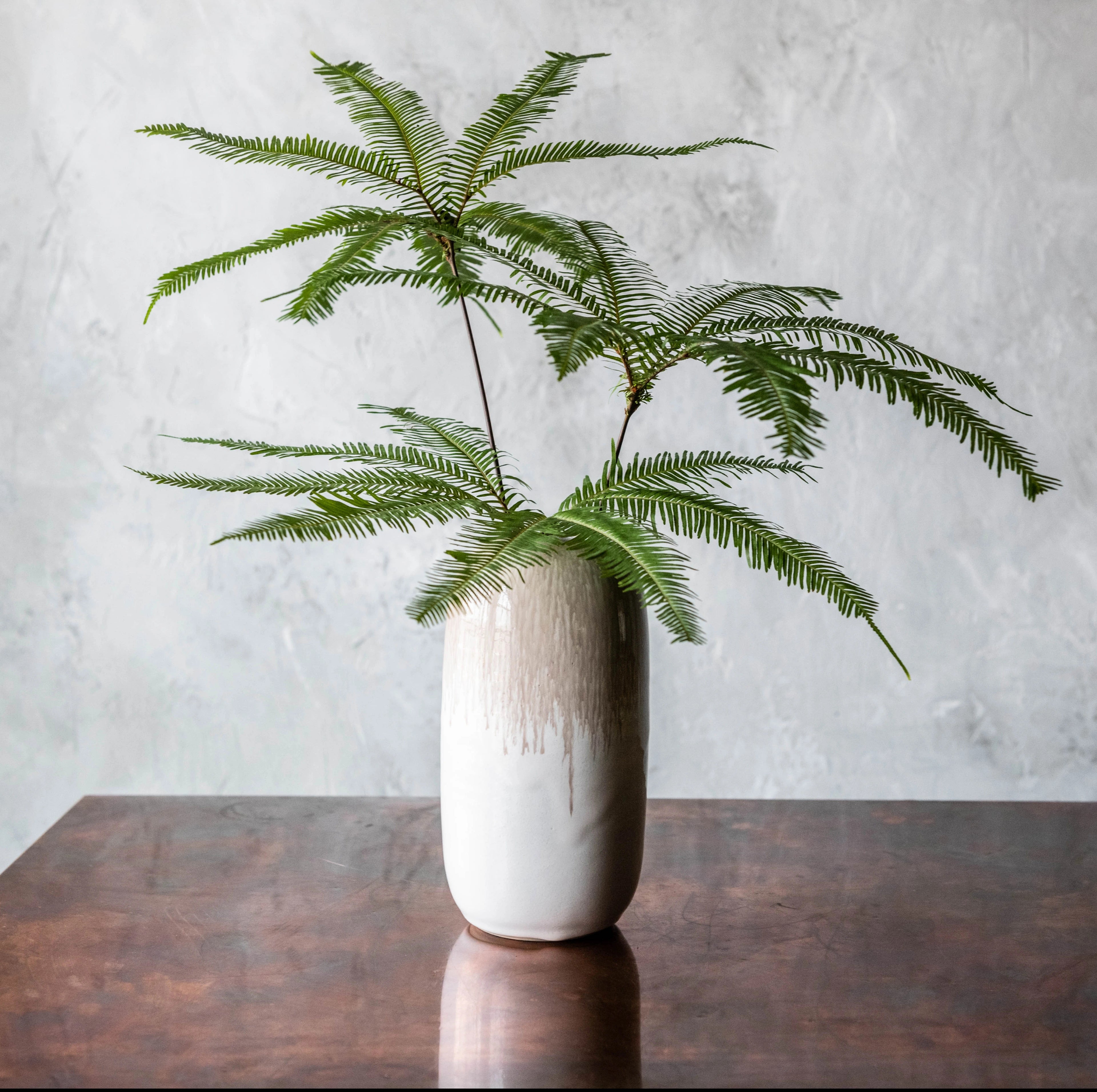 White ceramic vase with tapered cylindrical shape holding green fern stems on wooden surface.