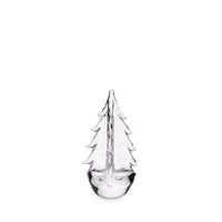 Crackle Evergreen in Gift Box view 7