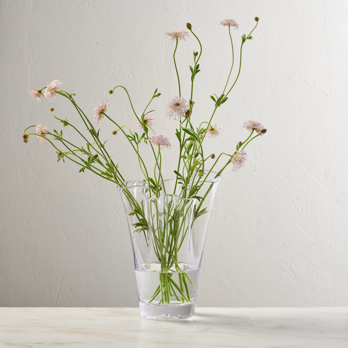Clear glass vase filled with pink anemone flowers and green stems on white background.