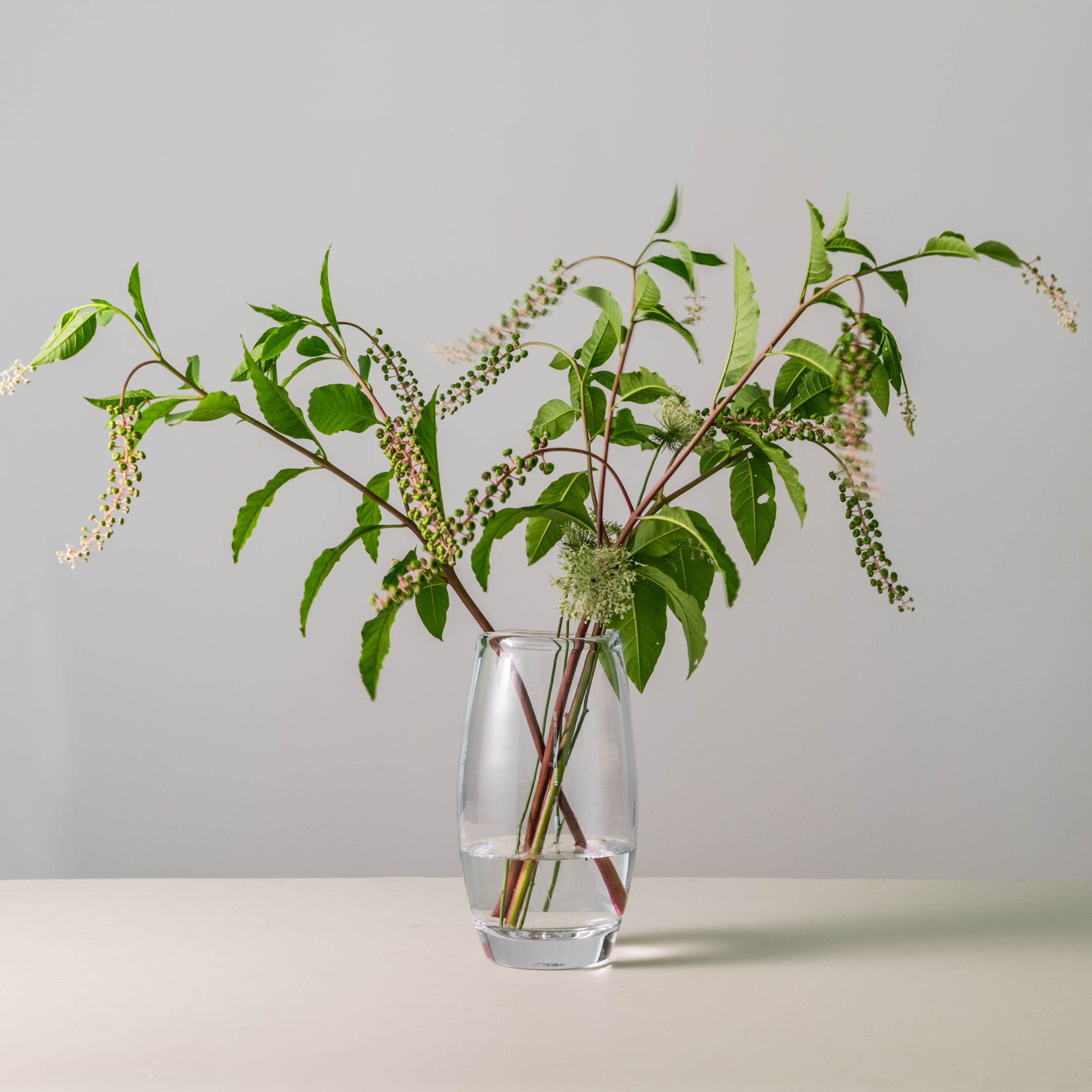 Clear glass vase with tapered cylindrical shape containing green foliage branches with small white flowers.