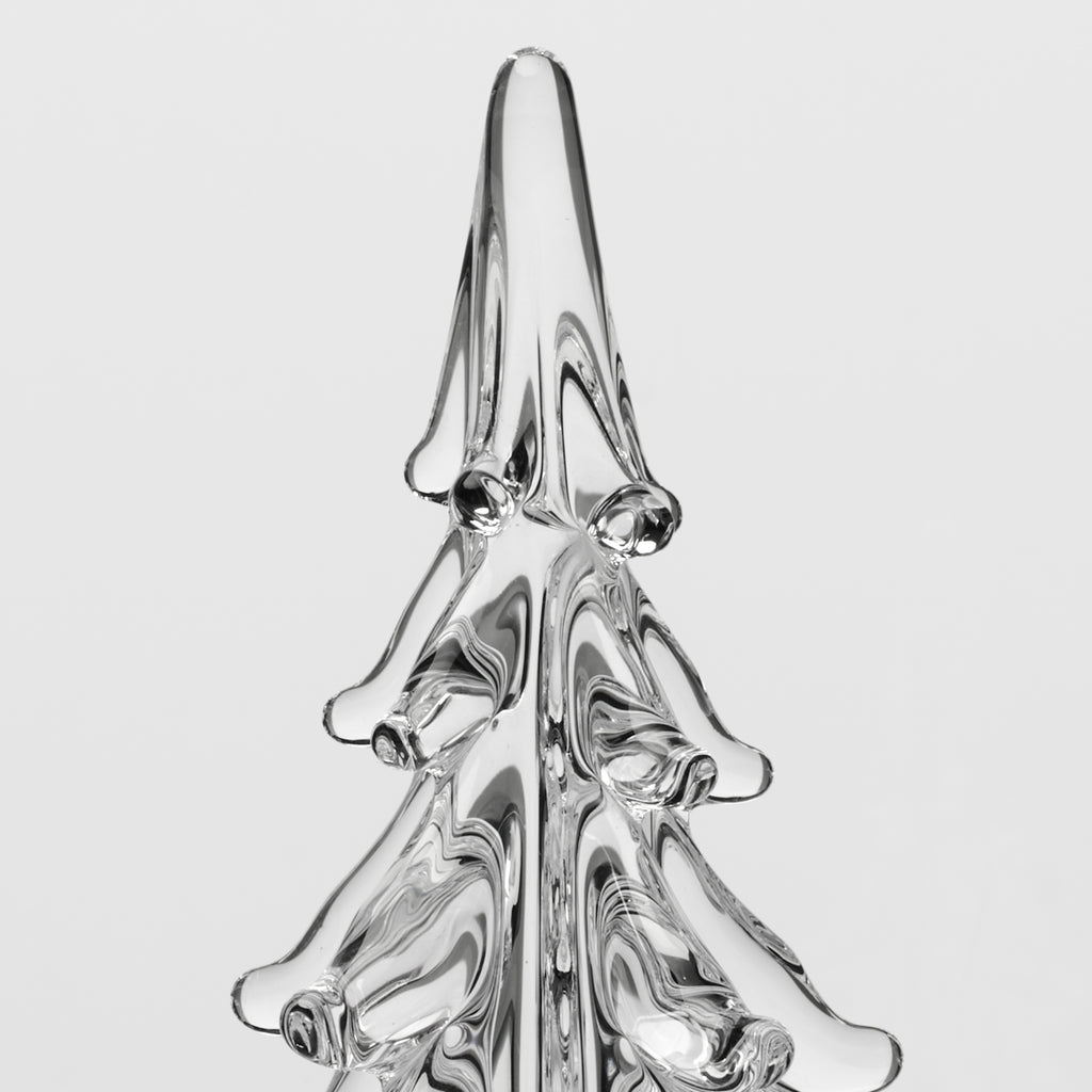 Five Sided Evergreen in Gift Box view 6