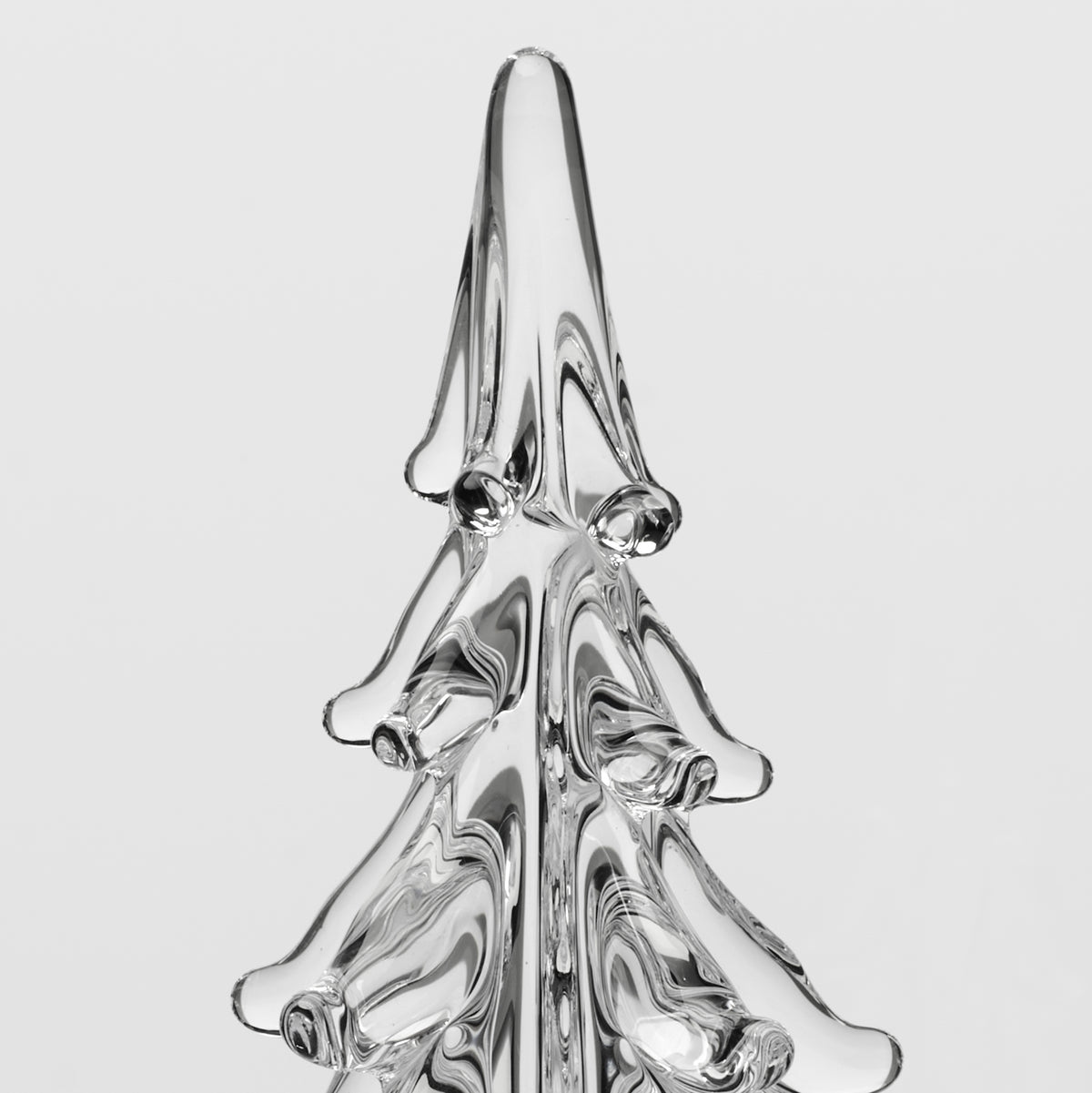Five Sided Evergreen in Gift Box
