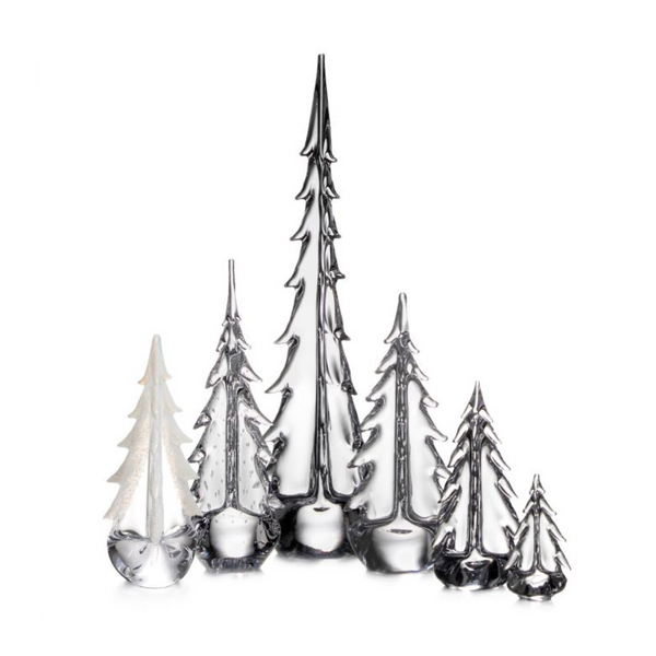 Grand Evergreen Forest view 1