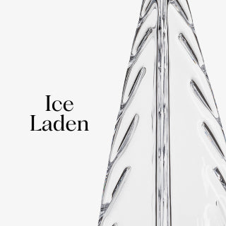 Ice Laden Evergreen view 1