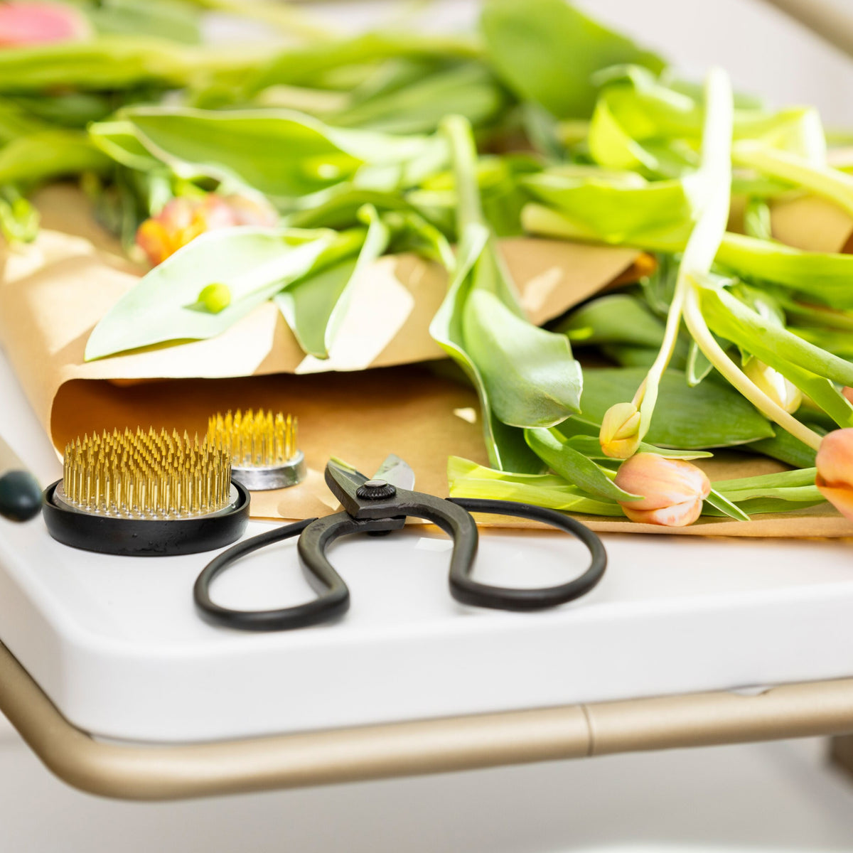 Black-handled garden scissors with curved blades displayed next to fresh green onions and a brass brush on a cutting board.