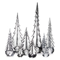 Signature Evergreen Forest view 1